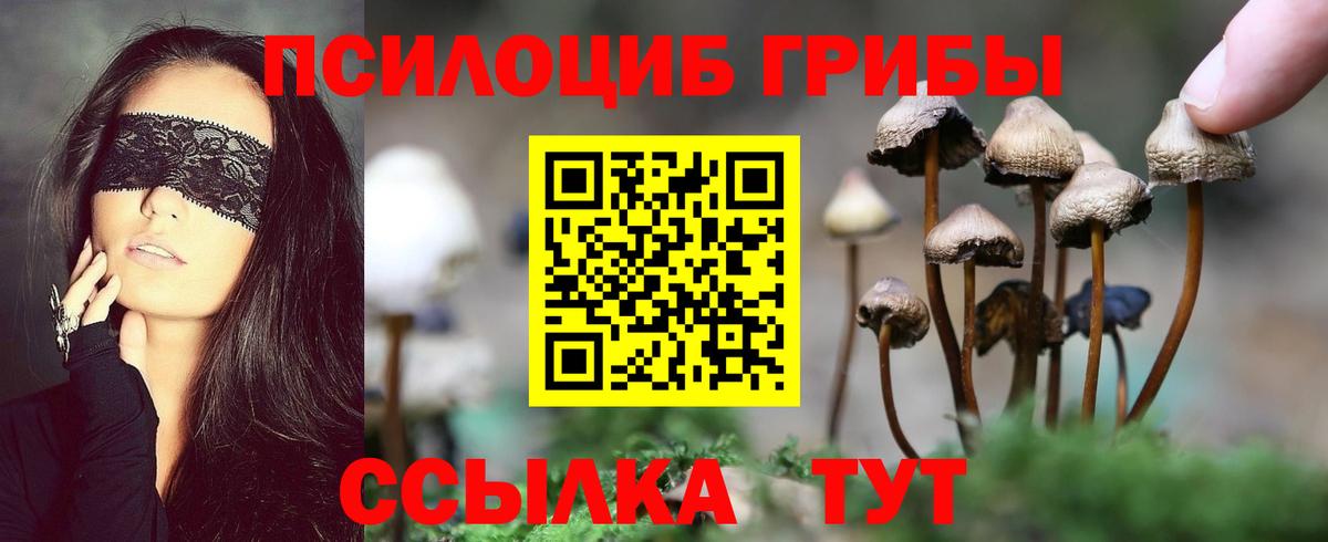 Псилоцибиновые грибы Psilocybe  Галлюциногенные грибы GOLDEN TEACHER  Вход с VPN  Волжский 